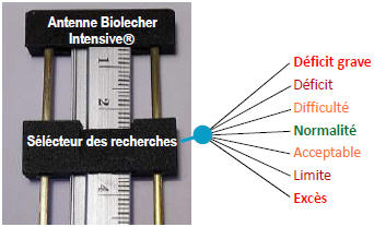 Antenne de Lecher Prisme