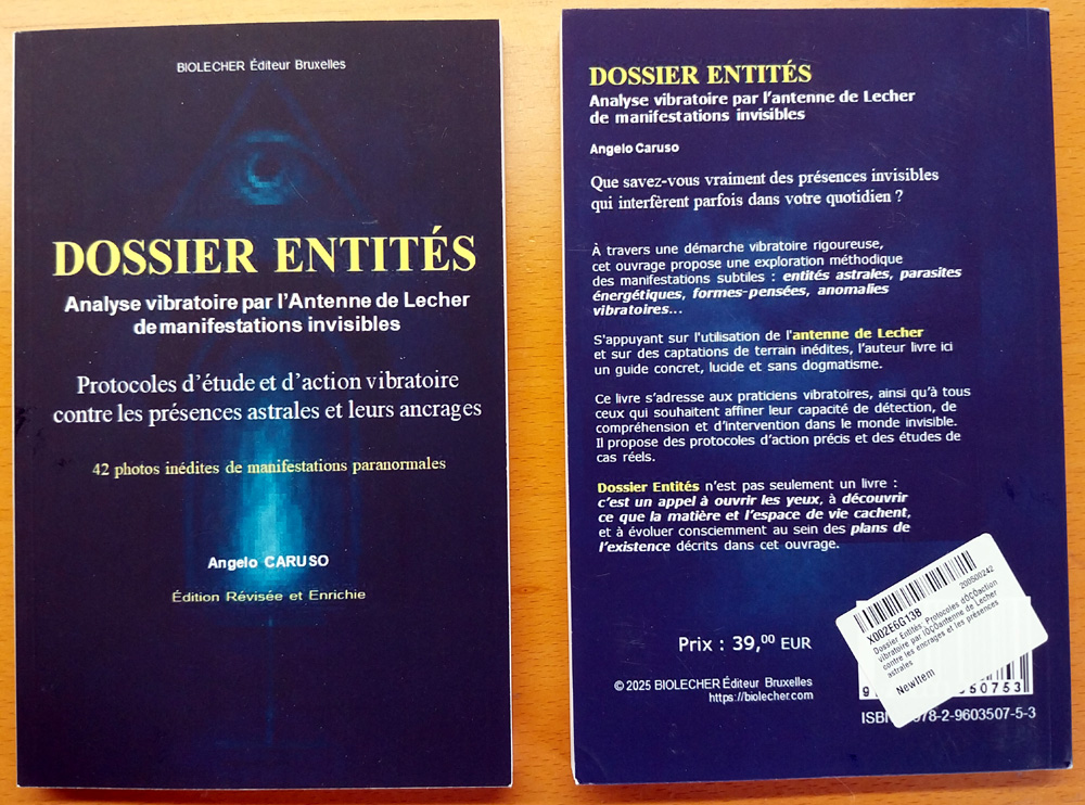 Dossier Entités de Angelo Caruso